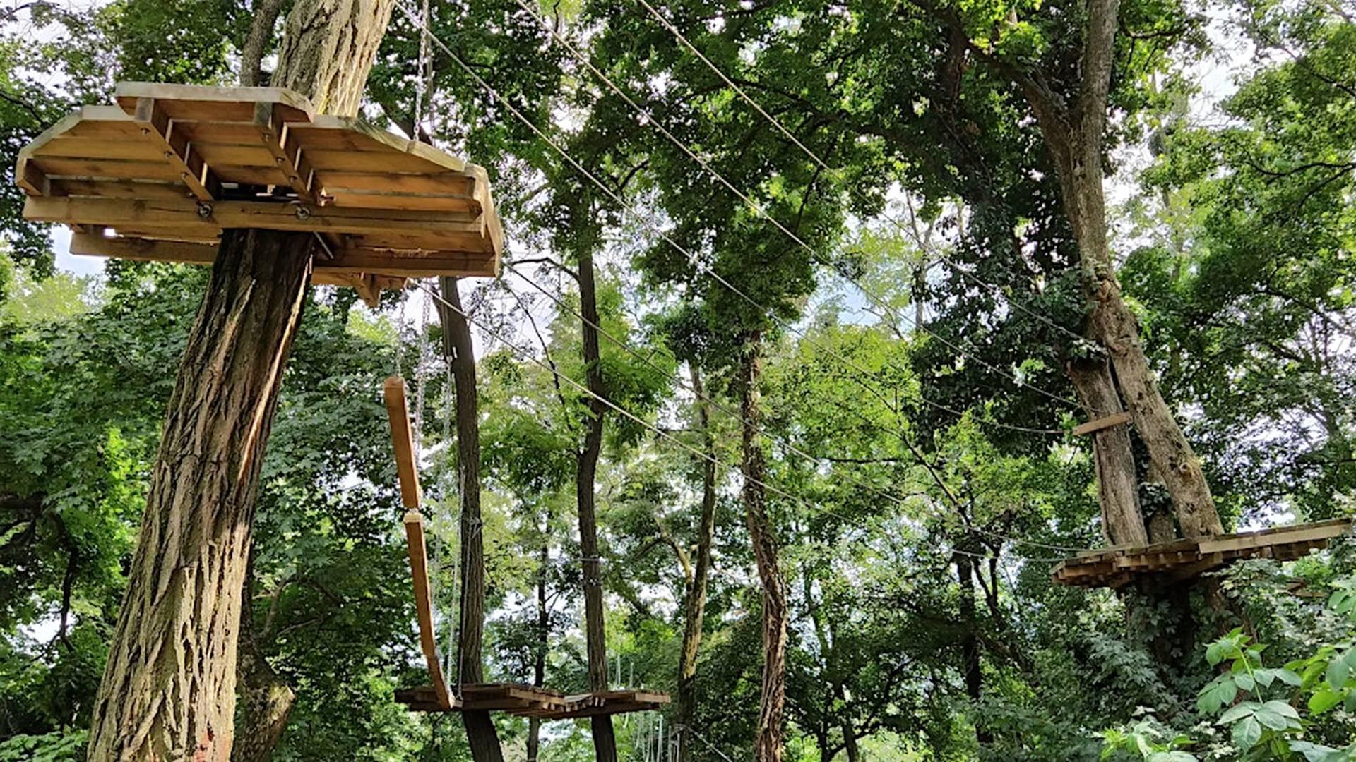 Go Ape Treetop Challenge (from Bath) photo