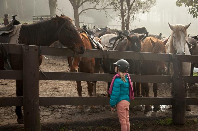 How to get my Kids into Horse Riding cover image