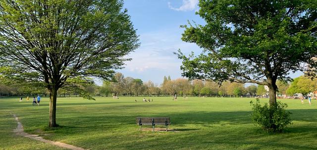 Family Friendly Park Runs in London cover image