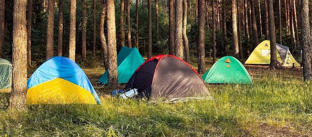 10 Best Places for Kids to Camp in Kent cover image