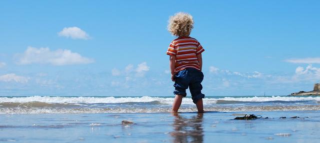 Top 5 Beaches in Sussex for Children cover image