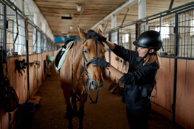 Best 5 Horse Riding Clubs in London cover image