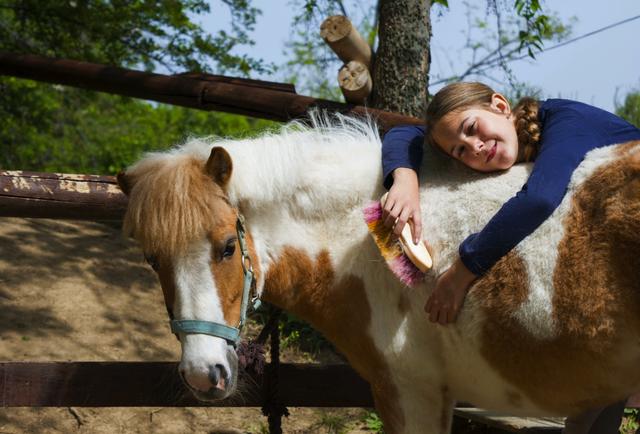 Should I Buy my Child a Horse? cover image