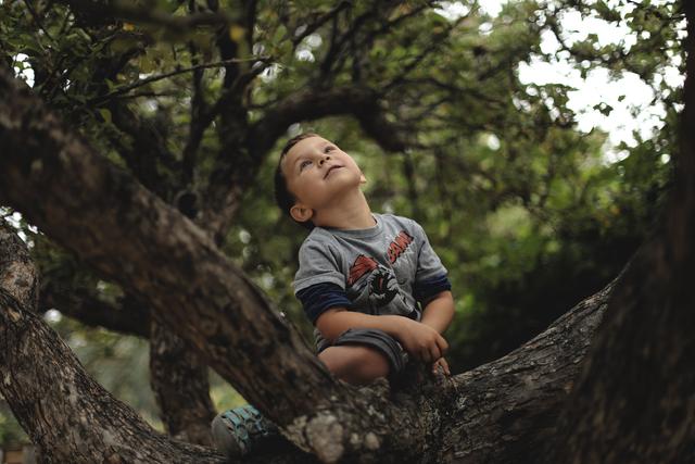 Can my Child Get Hurt Climbing Trees? cover image