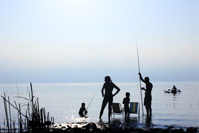 Coastal Fishing Trips For Kids In The UK cover image