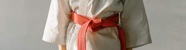What is Grading? What Judo Belts can my Child Get? cover image