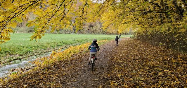 5 Family Friendly Cycle Routes in England cover image