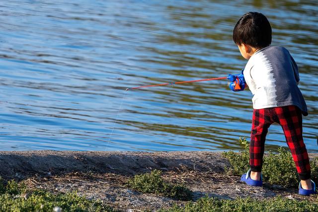 Top 5 Resources to Help Children Learn to Fish cover image