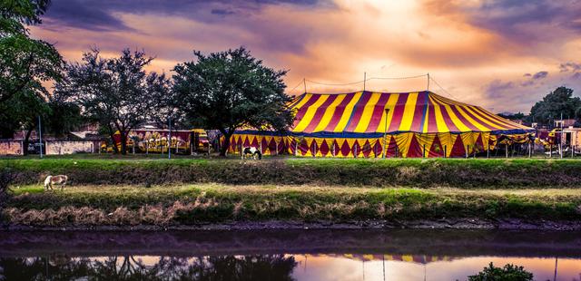 5 Benefits of going to a Circus for Kids cover image