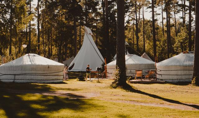 Top Glamping Sites for Families cover image