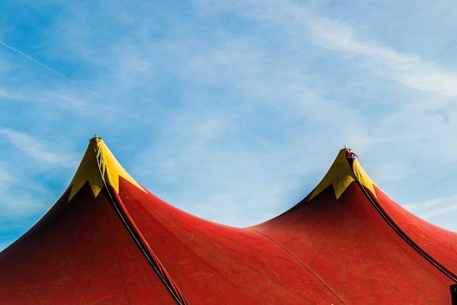 Top 5 Circuses in the UK cover image