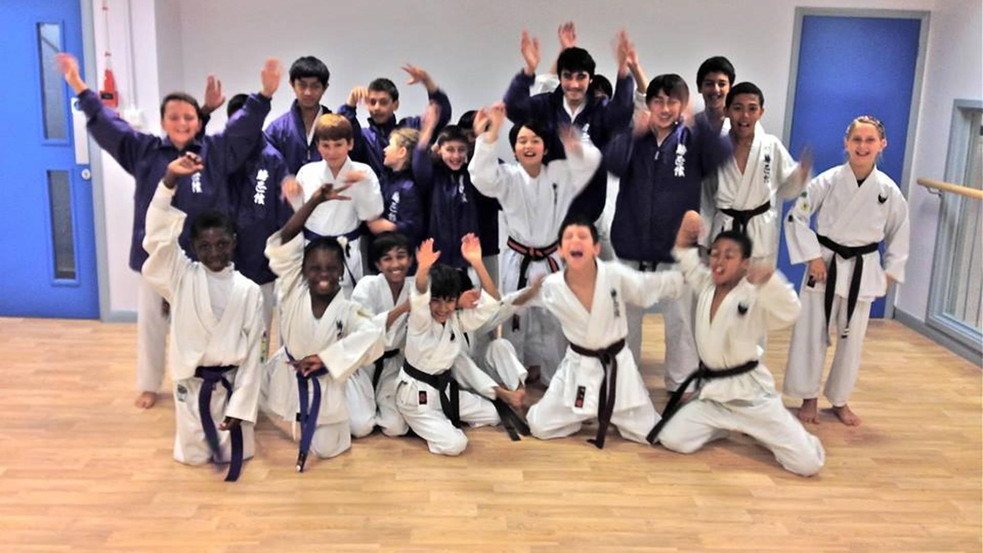 Phoenix Karate School photo