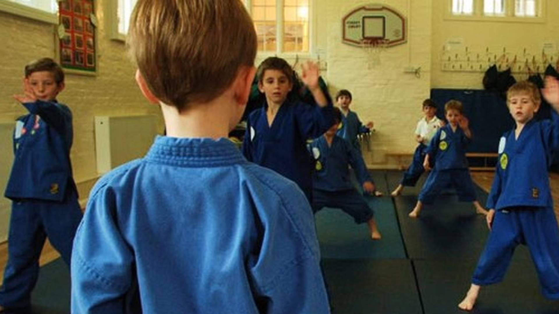 Martial Art Education photo
