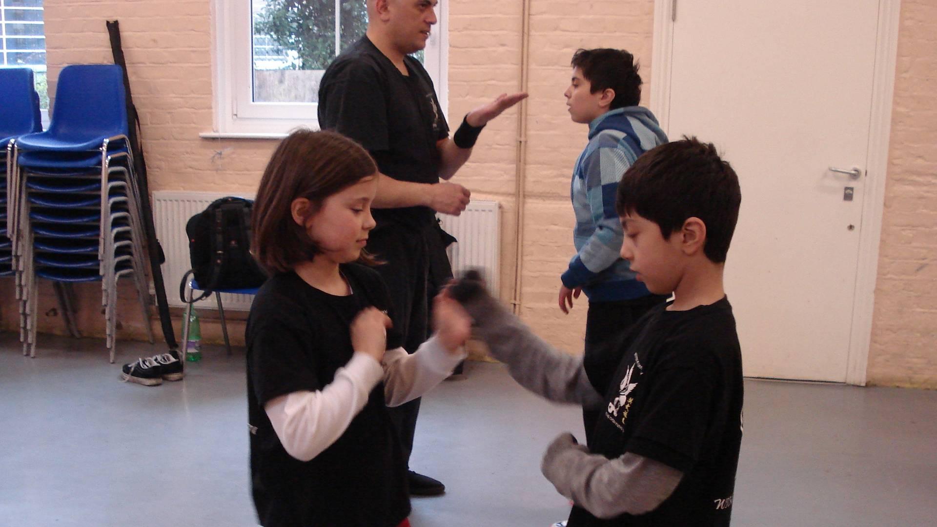 Brixton and Clapham Wing Chun Kung Fu photo