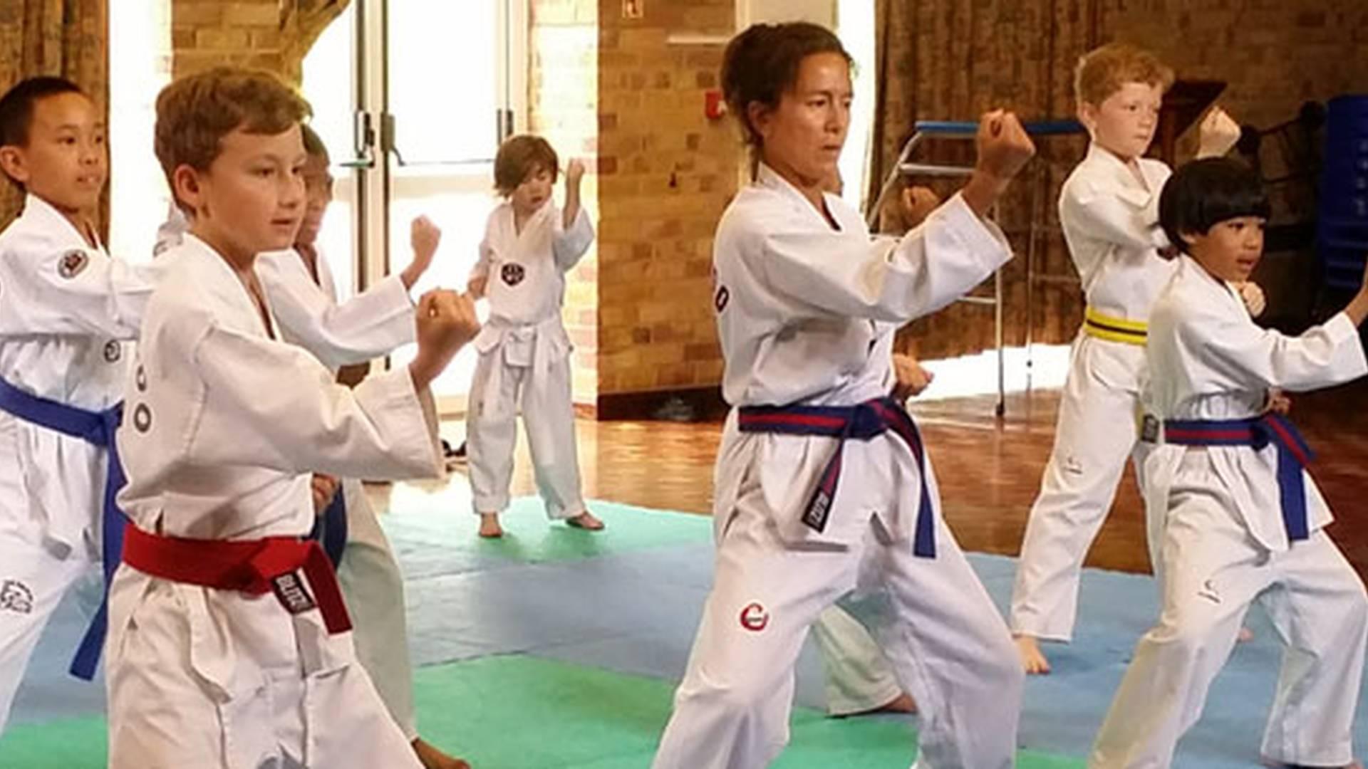 DAN Taekwondo School Brighton photo