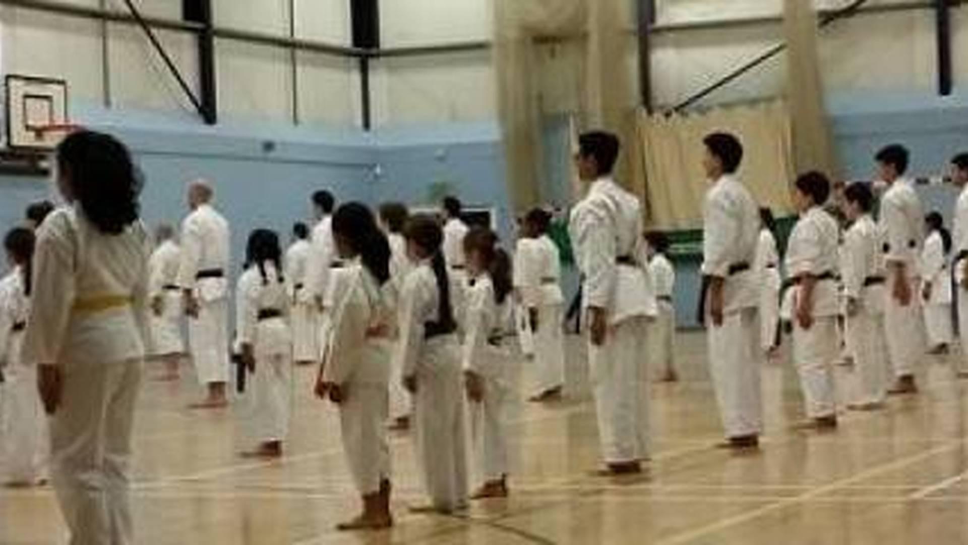 Hoshindo Karate Manchester photo