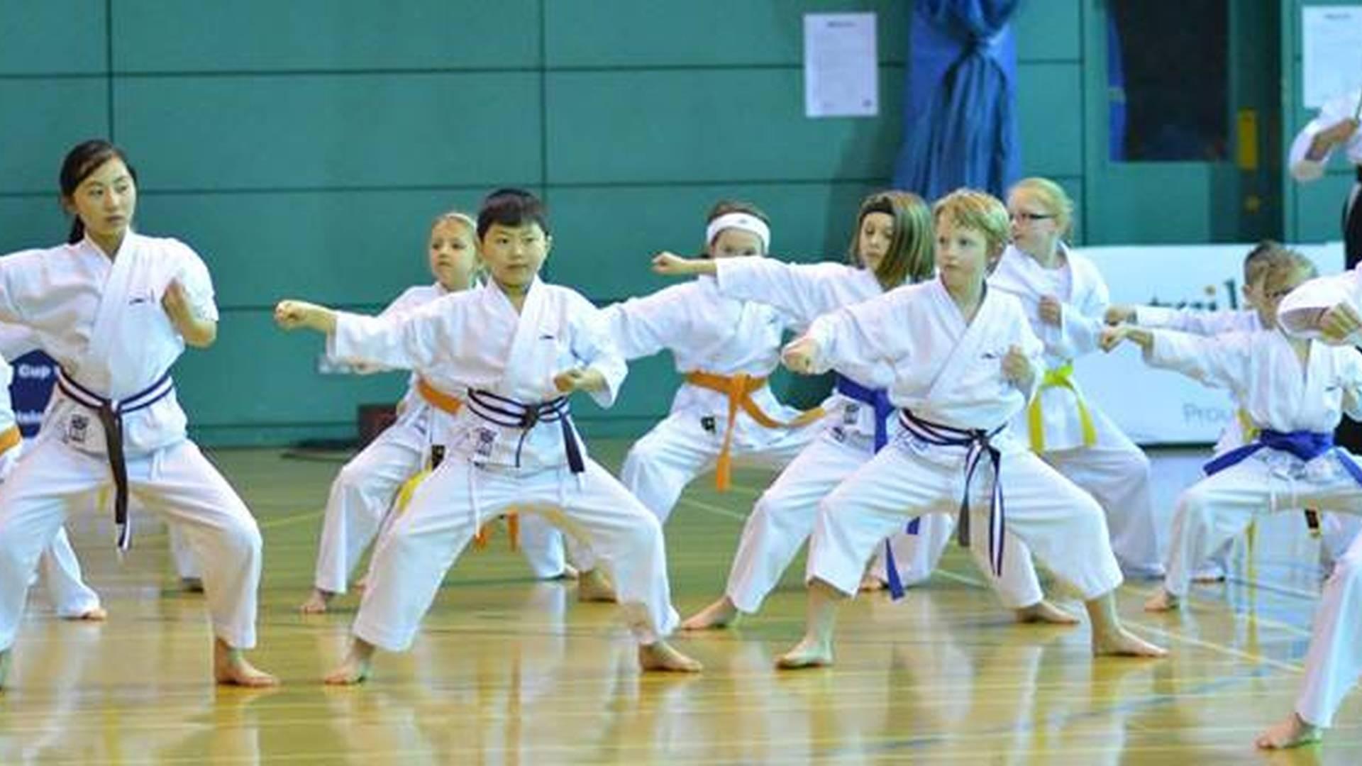 Sasori Karate Dojo photo