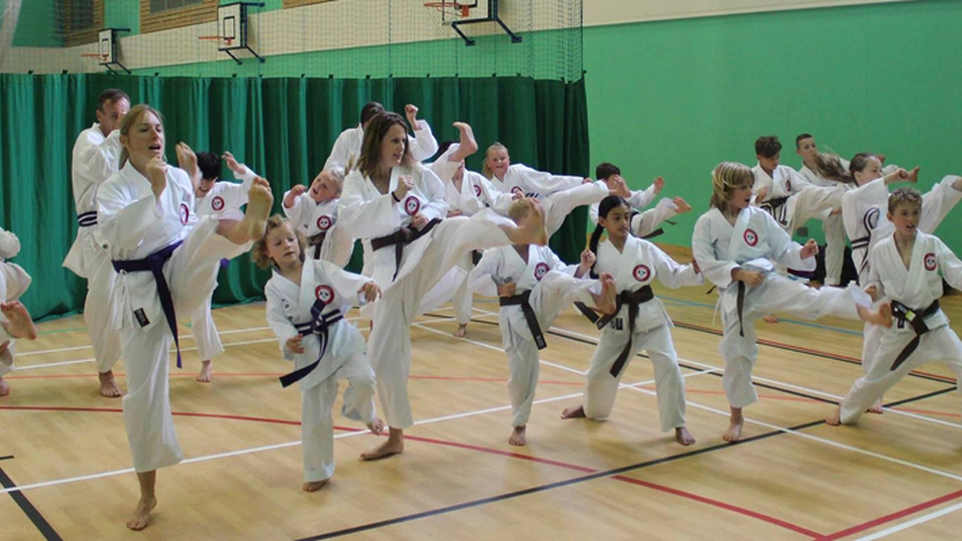 Wado-Ryu Karate School Surrey photo