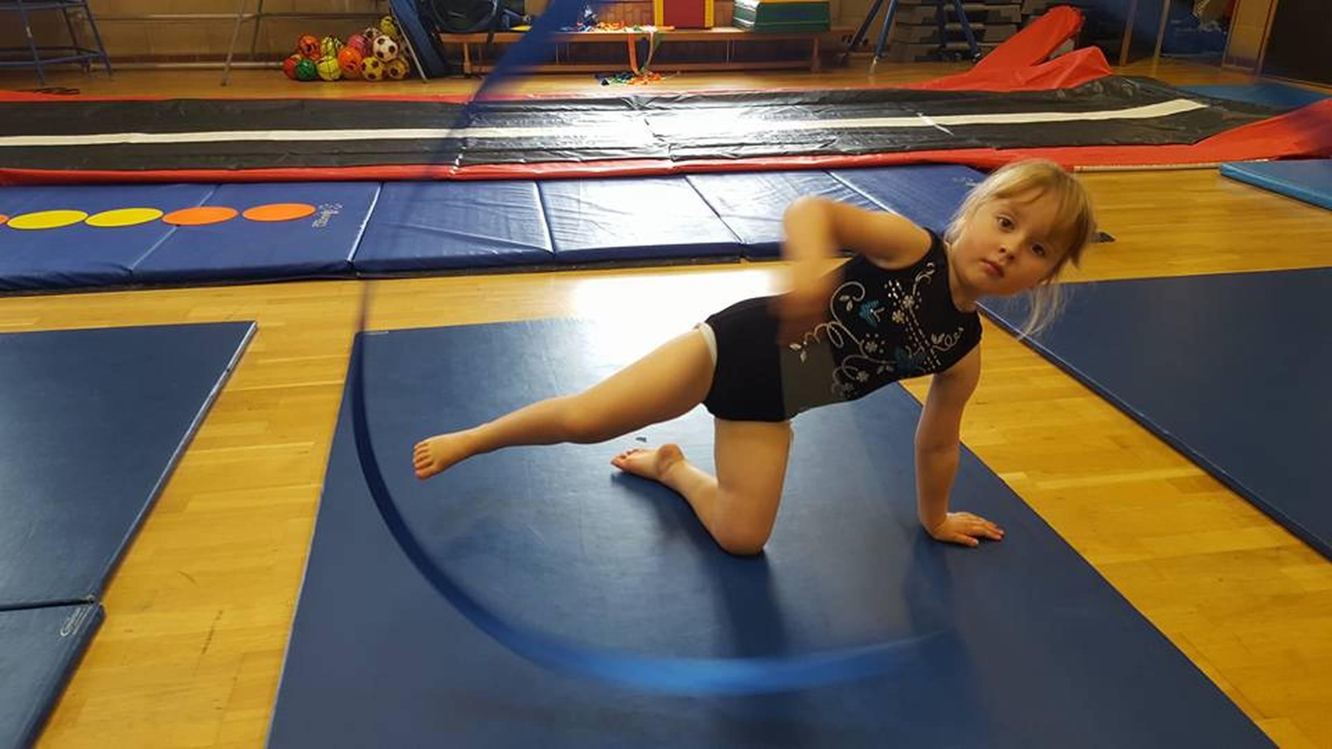 Veritas Gymnastics photo