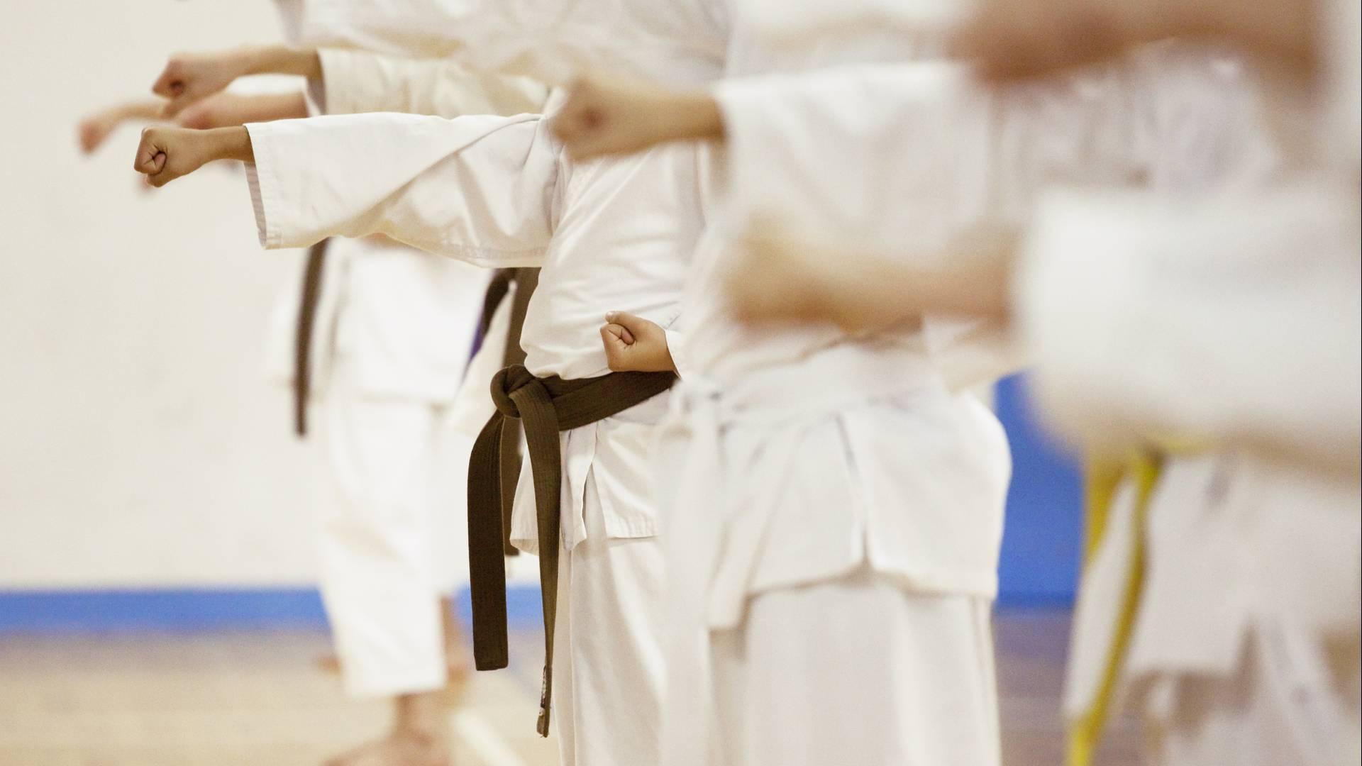Fudo-Shin-Ryu Karate School photo