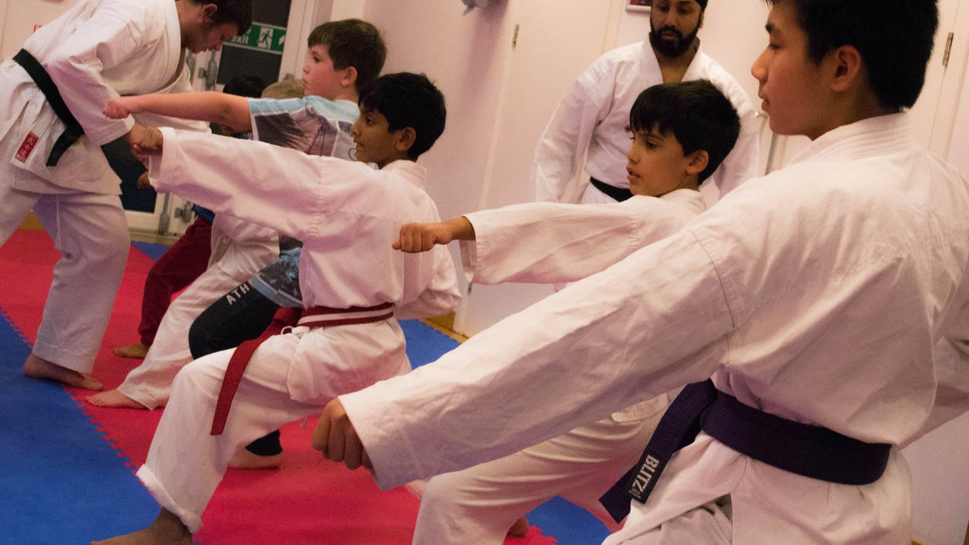 Khalsa Karate photo