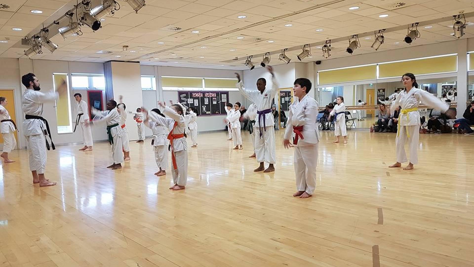 Gorton Kids Karate Club photo