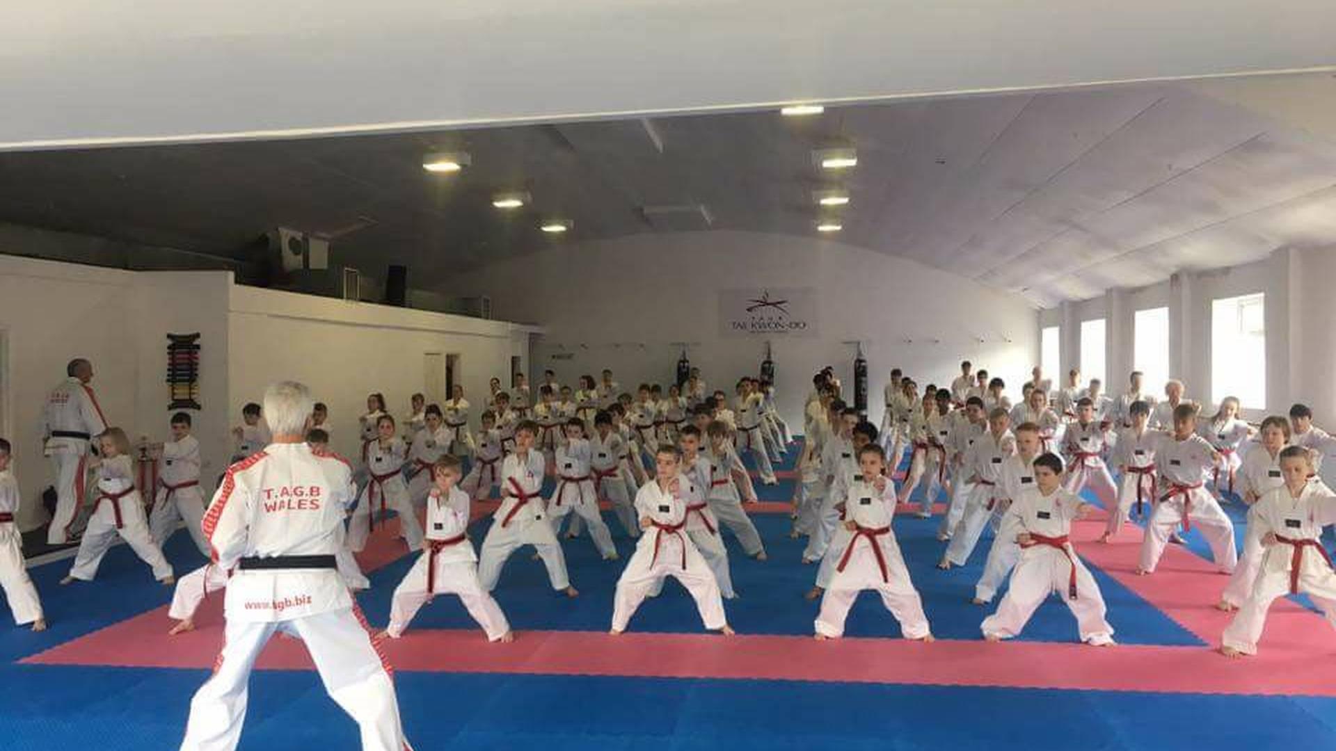 Joseph Schembri Schools of Taekwondo photo
