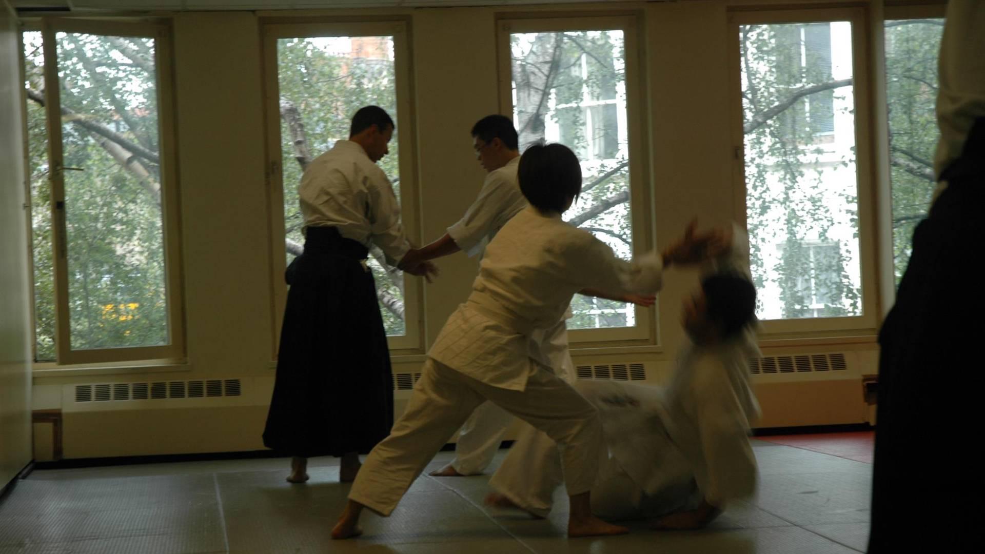 Aikido Alive photo