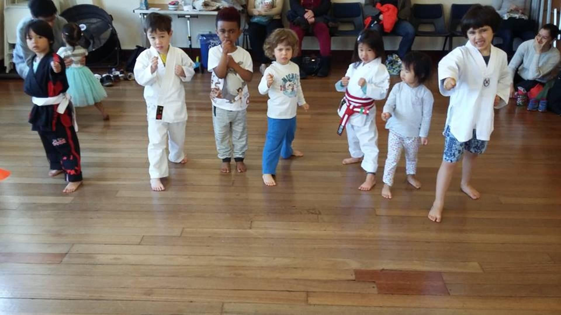 Force 5 Taekwondo photo