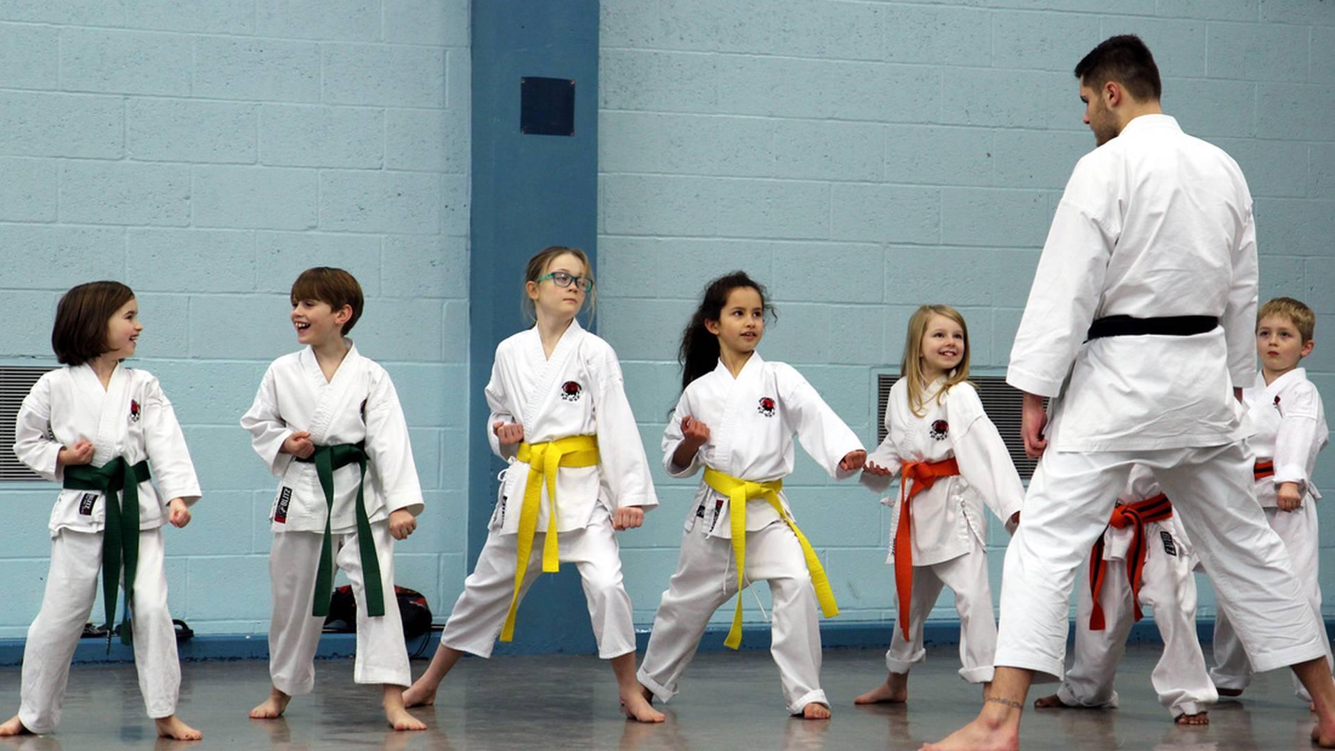 Westwood Karate Academy photo