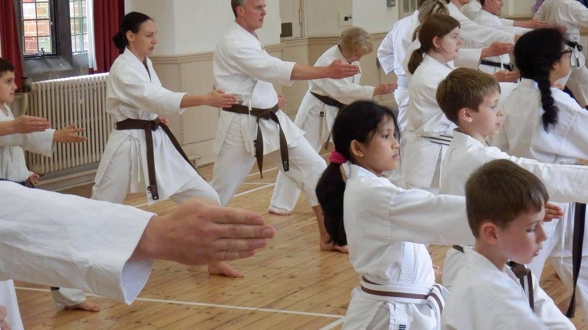 Enfield Junior Karate Club photo