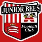 Junior Bees FC logo