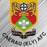 Caerau Ely FC Juniors logo