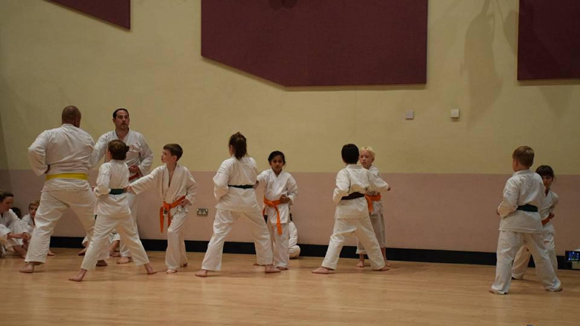 Newcastle under Lyme Shotokan Karate Club photo