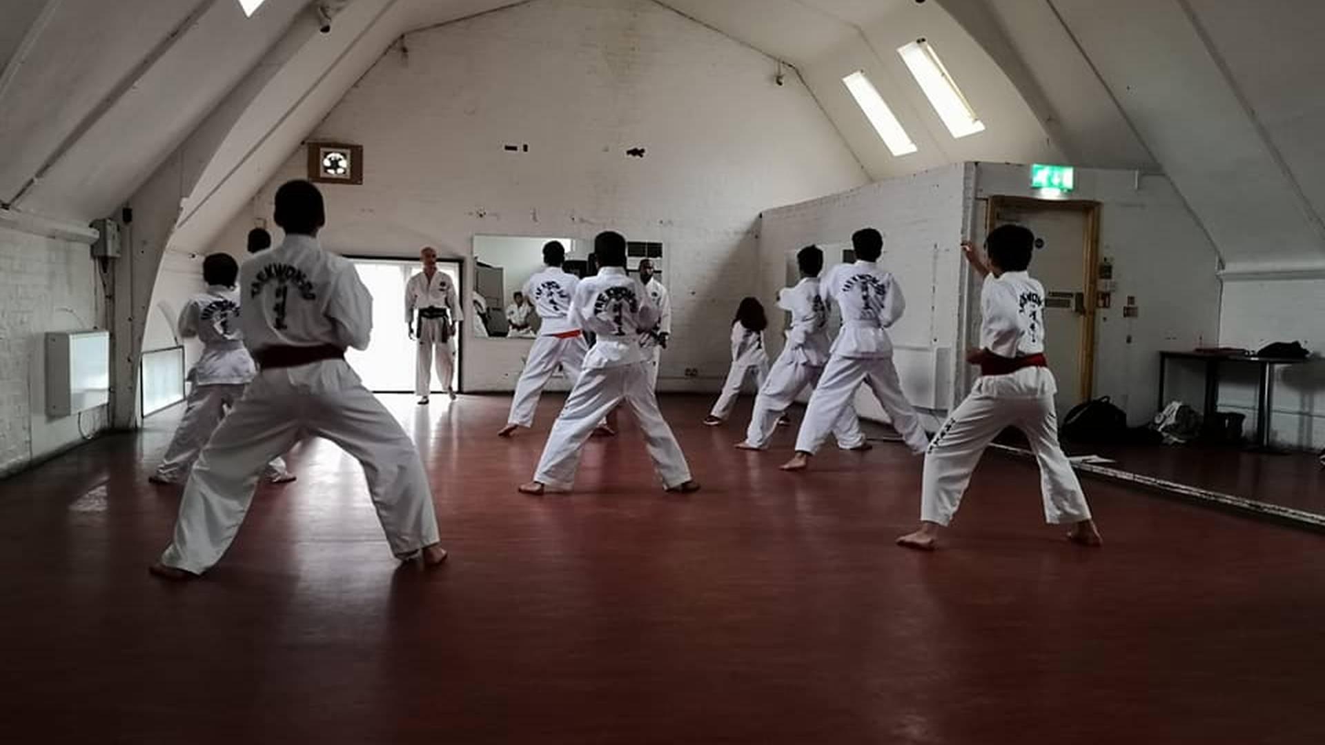 The Taekwondo & Movement Centre photo