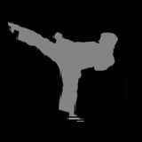 Docklands Karate Club logo