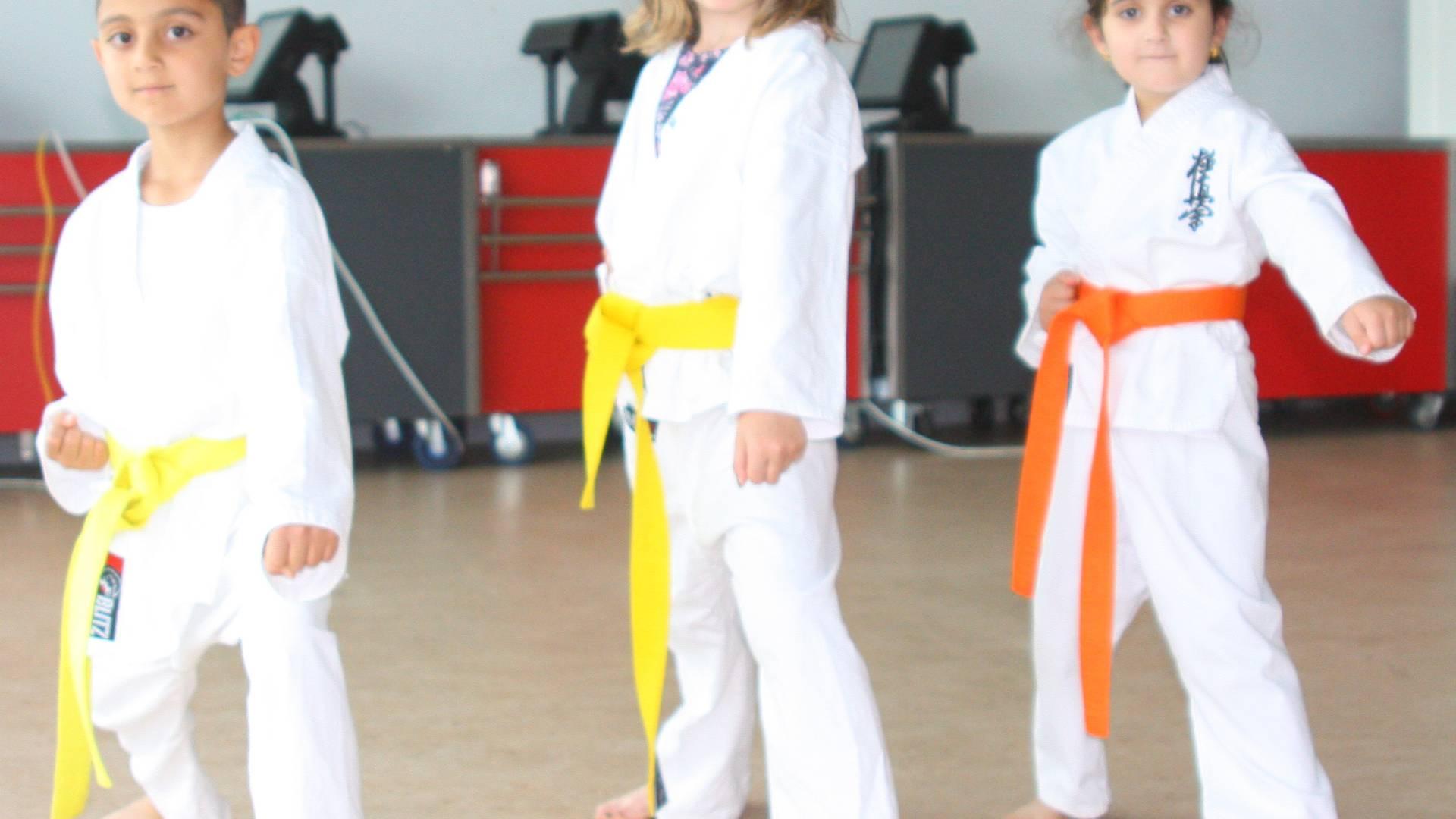 Stockport Karate Kids photo