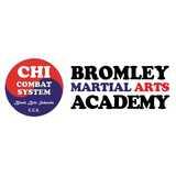 Bromley Martial Arts Academy logo