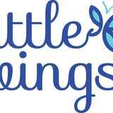 Little Wings logo