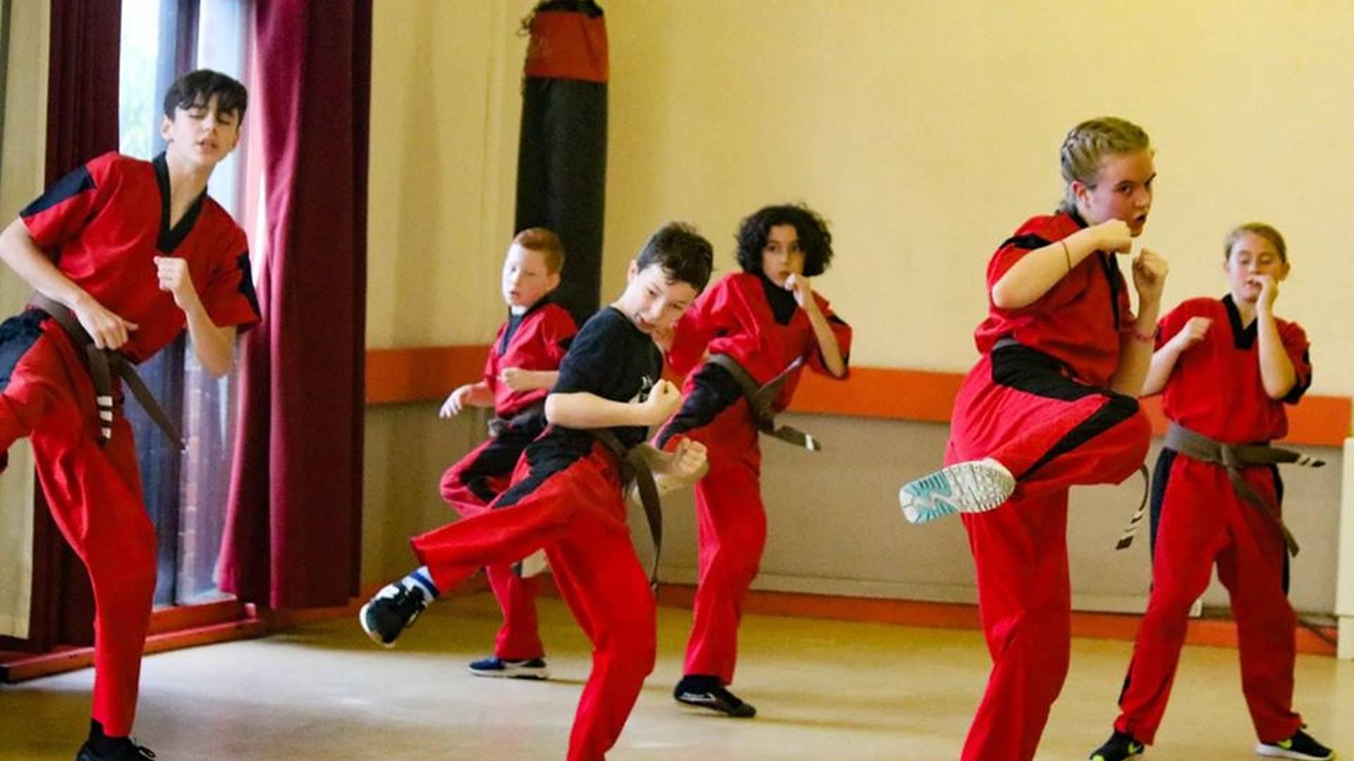 South East Academy of Martial Arts photo