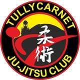 Tullycarnet and Wandsworth JuJitsu Clubs logo