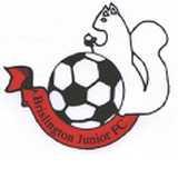 Brislington Juniors Football Club logo