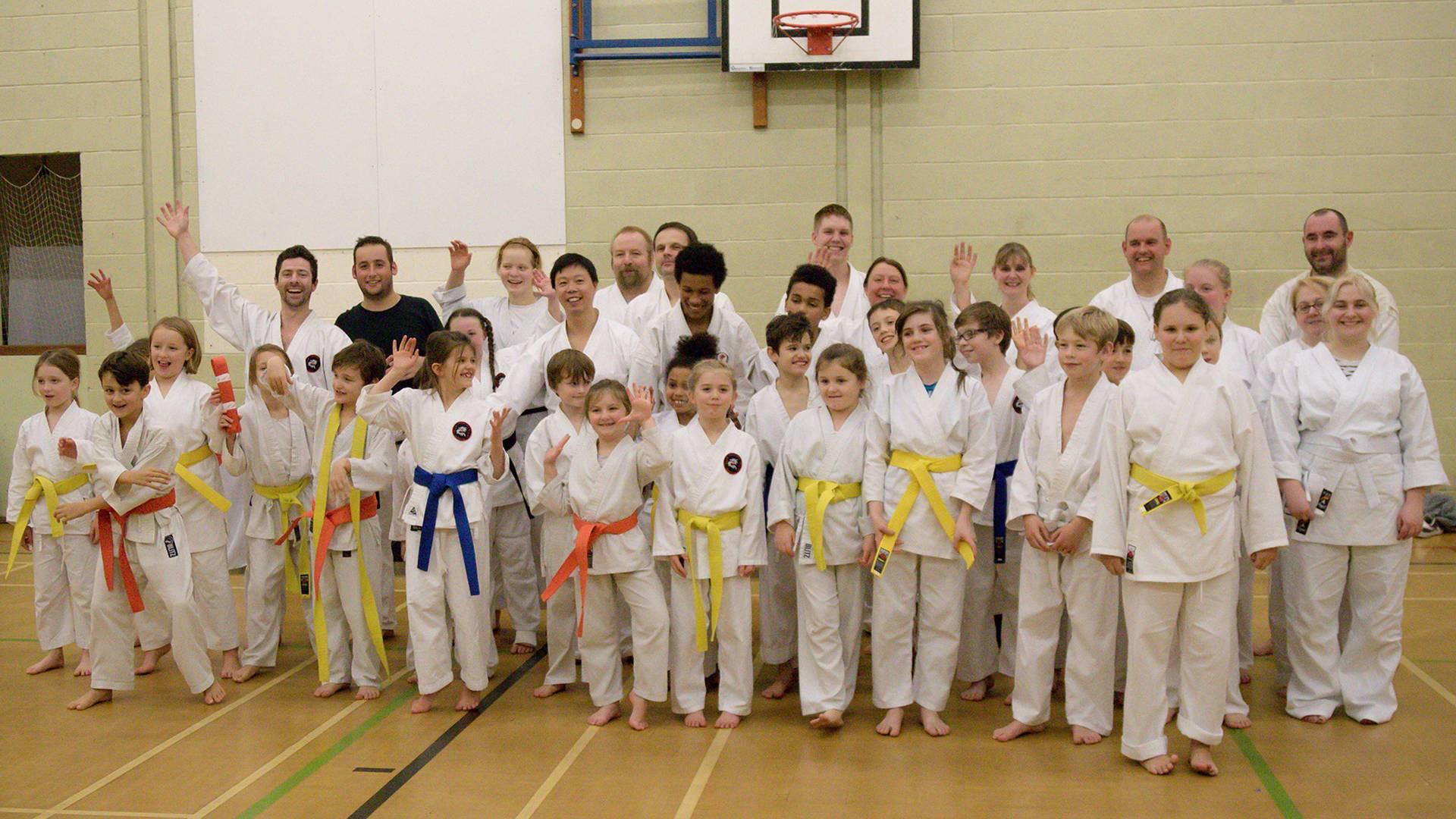 Surrey and Hampshire Karate photo