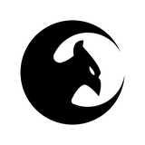 Team Phoenix Martial Arts logo
