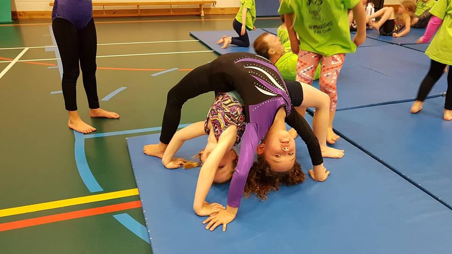 JCS Gymnastics photo