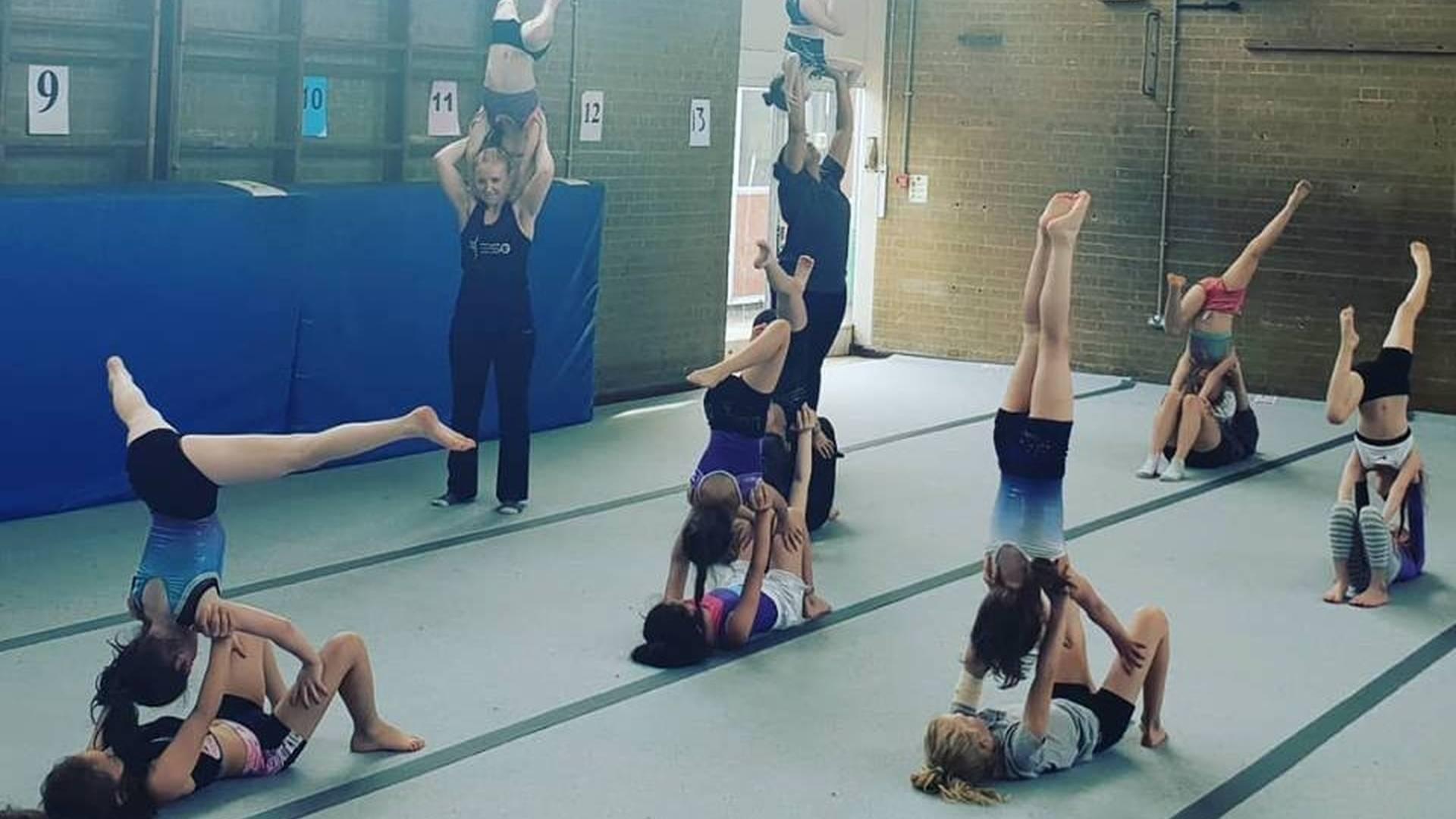 Elstree School of Gymnastics photo