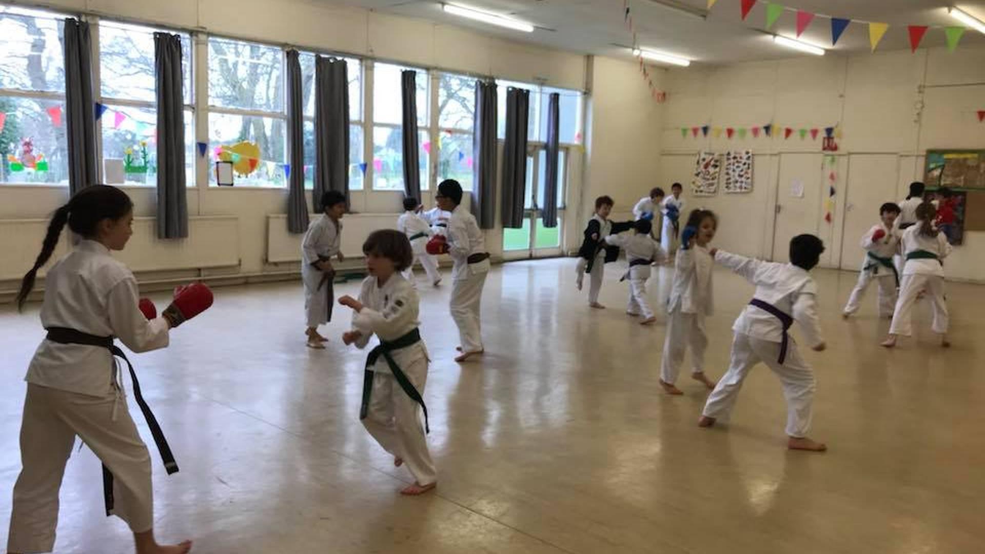 Kaishi Karate School photo