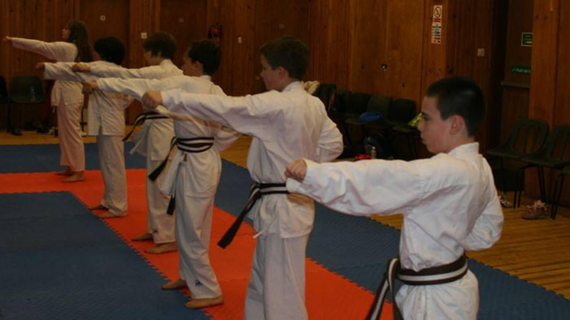 Satori Karate Club Glasgow photo