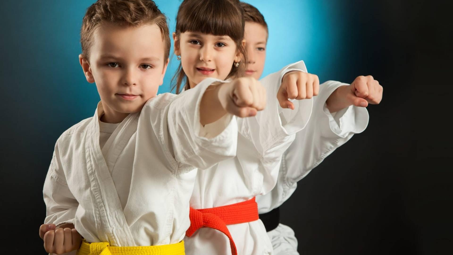 Senjokai Karate Academy photo