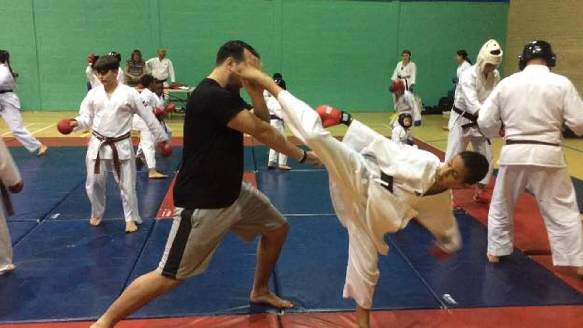 Kimochi Ryu Karate photo